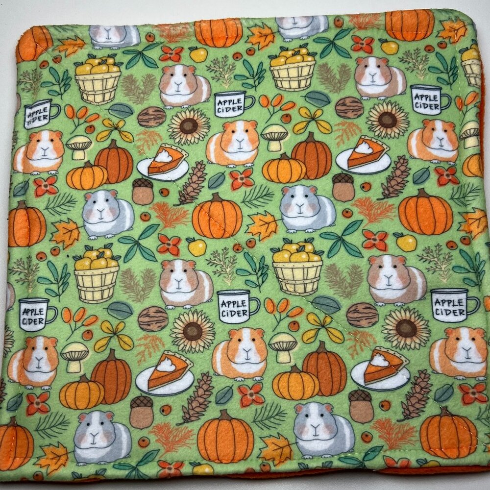 Guinea Pig Piddle Pee Pad X 2 Fleece 11" Square Reversible Washable Reusable New